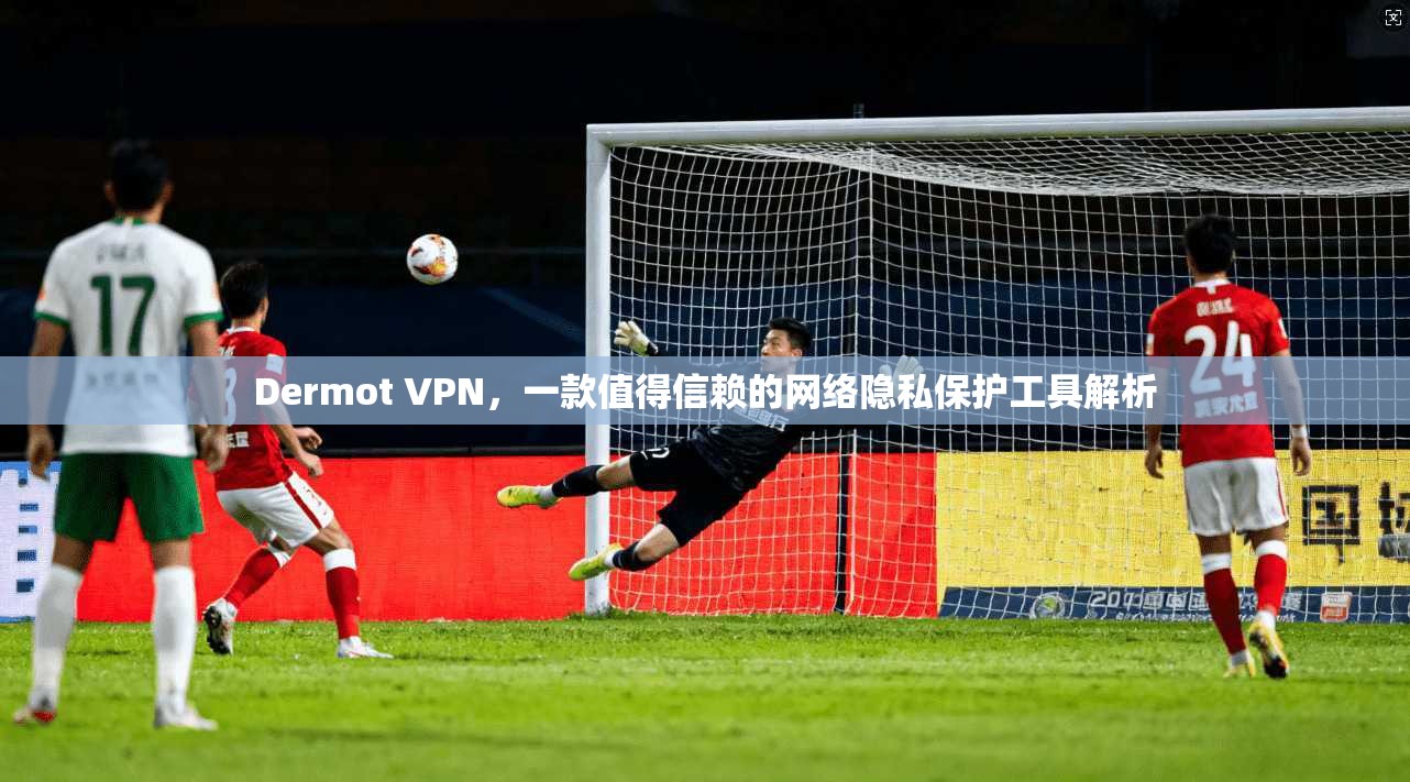 Dermot VPN，一款值得信赖的网络隐私保护工具解析