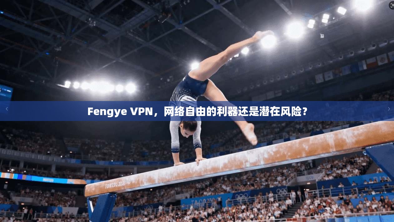 Fengye VPN，网络自由的利器还是潜在风险？