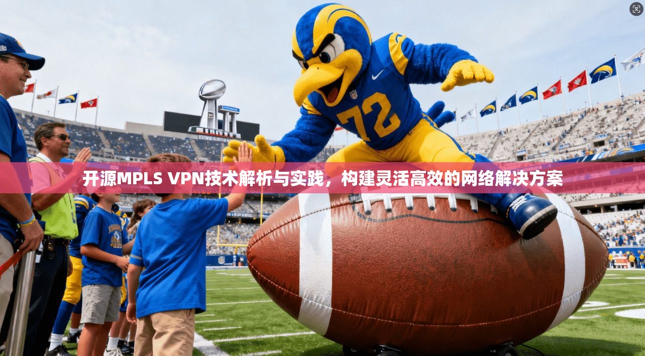 开源MPLS VPN技术解析与实践，构建灵活高效的网络解决方案