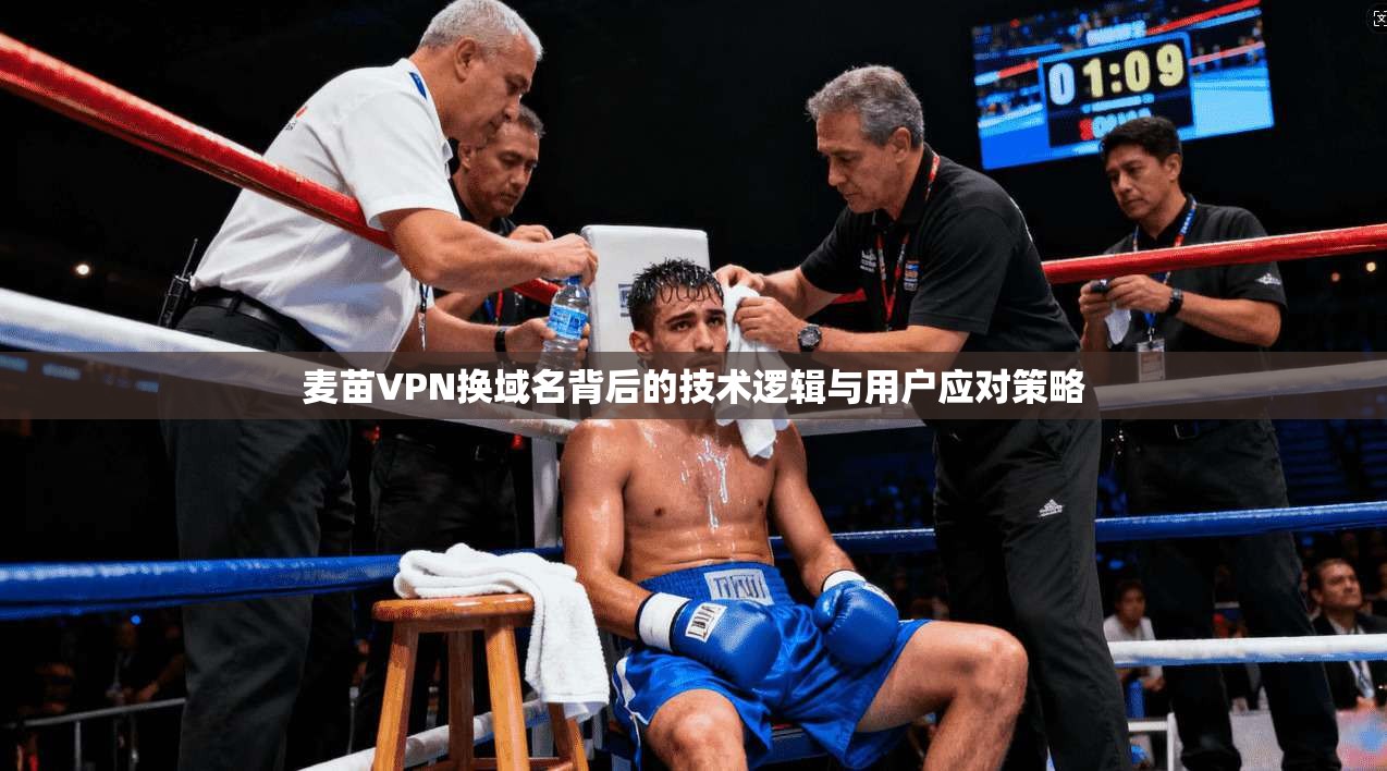 麦苗VPN换域名背后的技术逻辑与用户应对策略