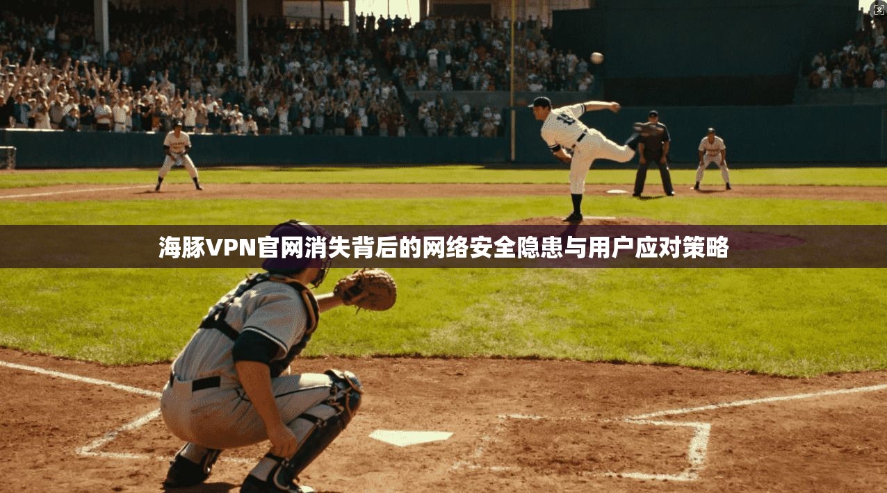 海豚VPN官网消失背后的网络安全隐患与用户应对策略