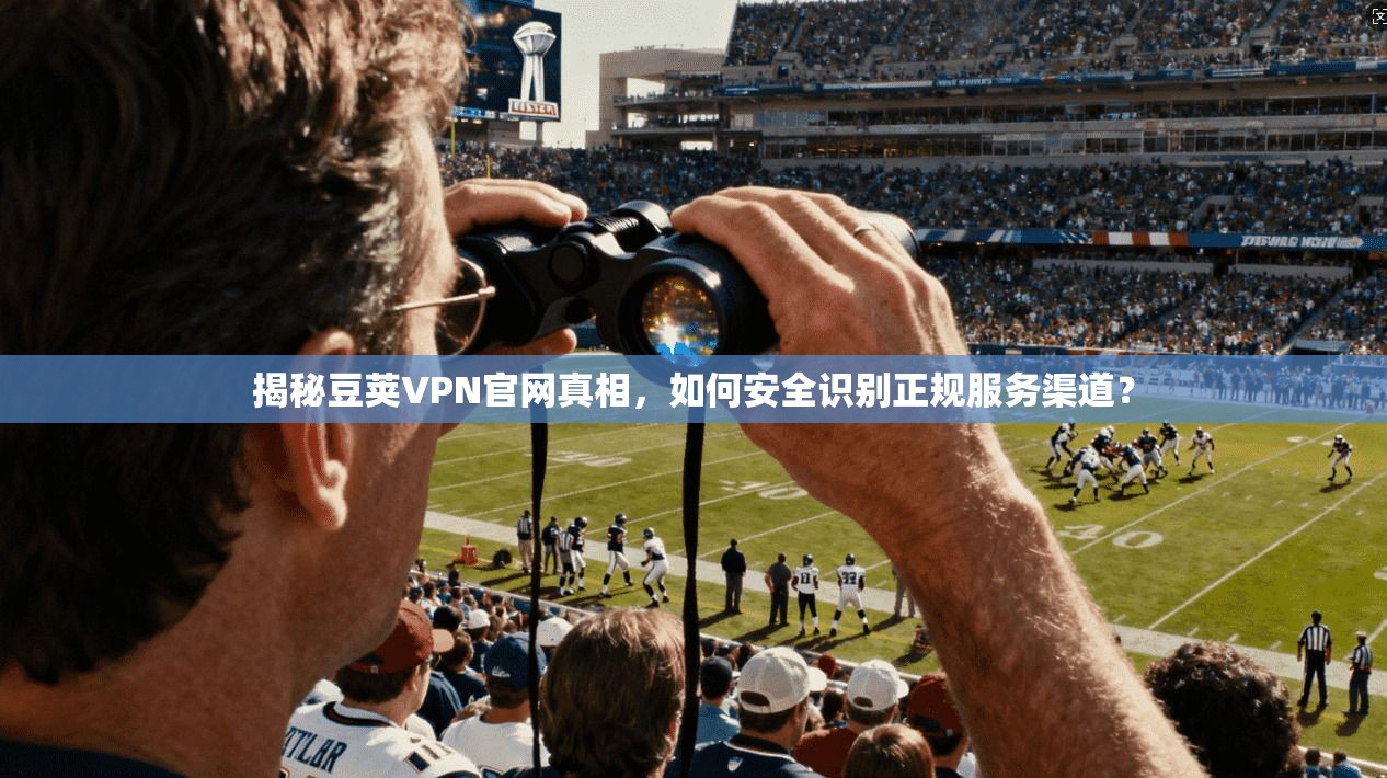 揭秘豆荚VPN官网真相，如何安全识别正规服务渠道？
