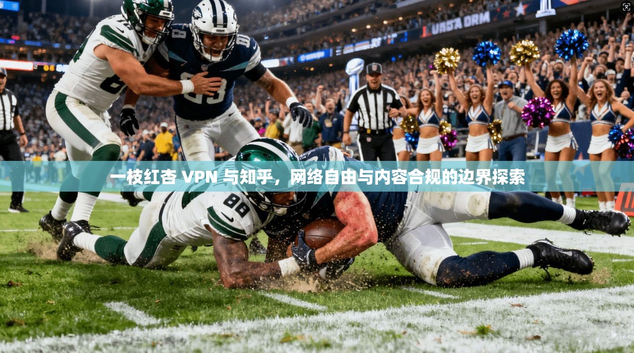 一枝红杏 VPN 与知乎，网络自由与内容合规的边界探索