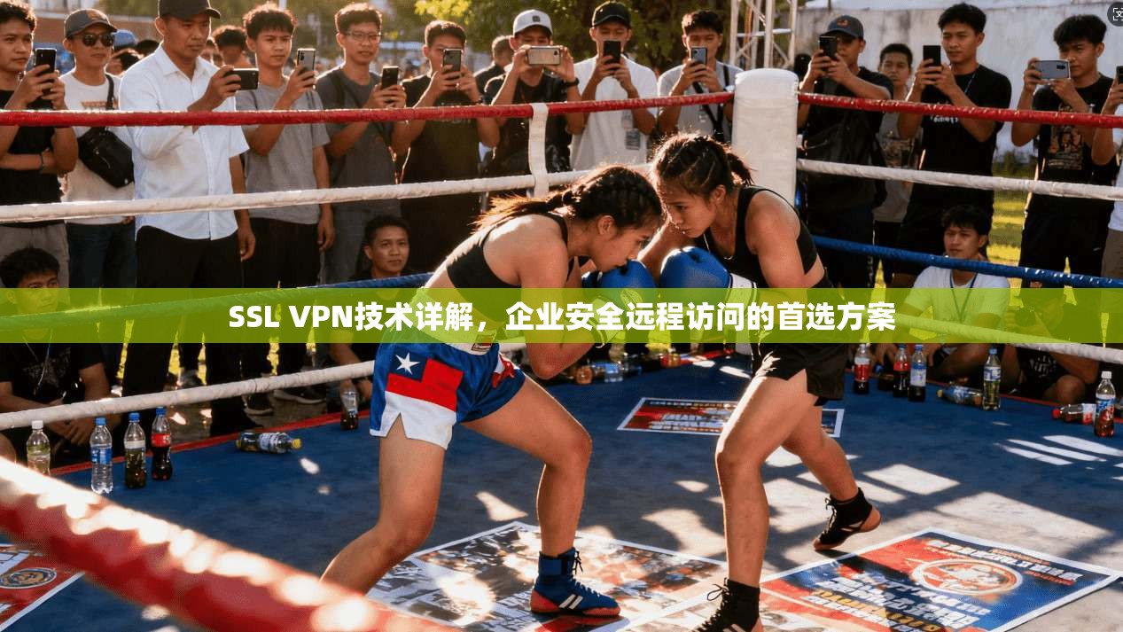 SSL VPN技术详解，企业安全远程访问的首选方案