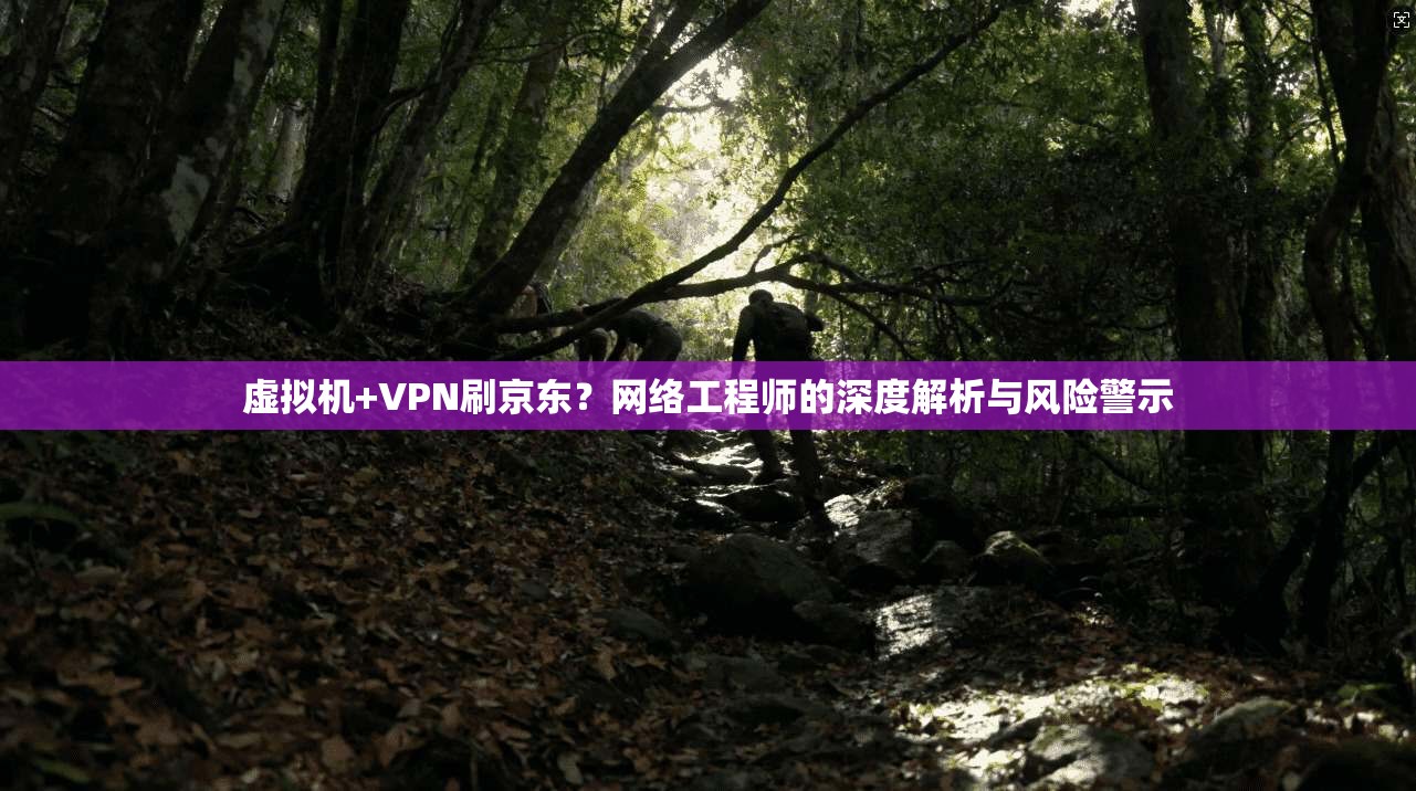 虚拟机+VPN刷京东？网络工程师的深度解析与风险警示