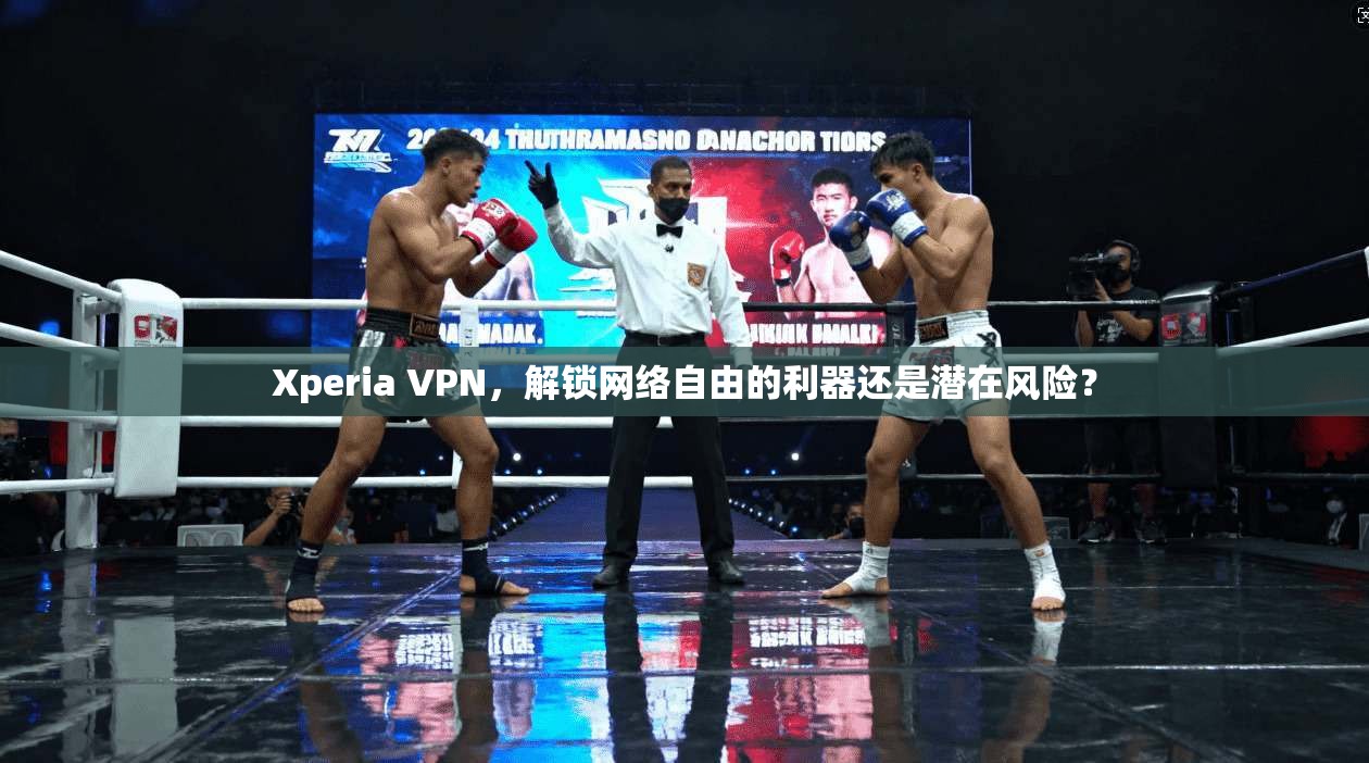 Xperia VPN，解锁网络自由的利器还是潜在风险？