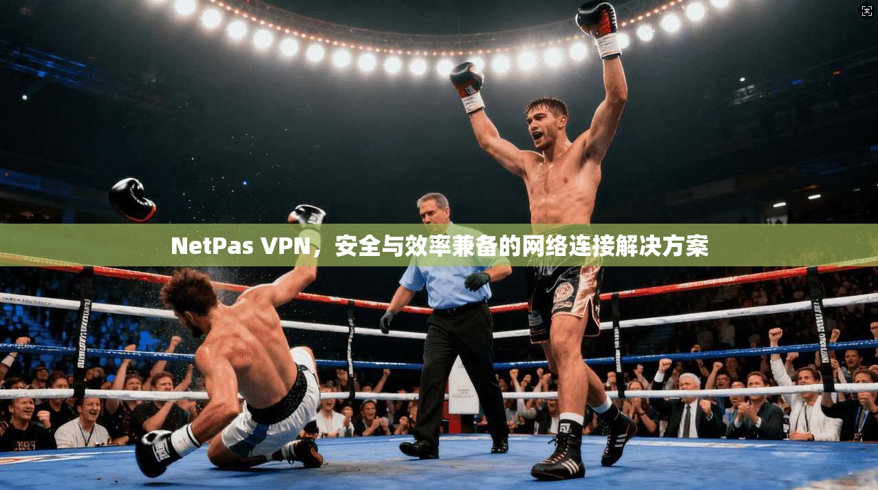 NetPas VPN，安全与效率兼备的网络连接解决方案