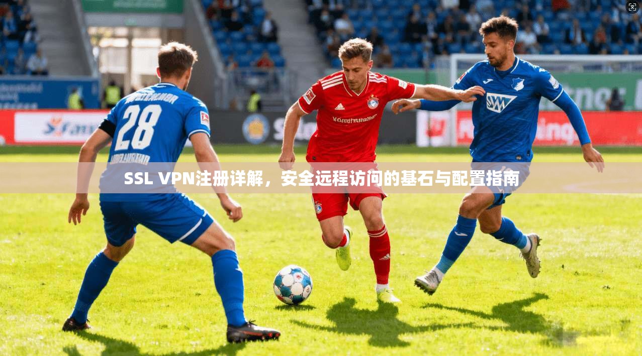 SSL VPN注册详解，安全远程访问的基石与配置指南