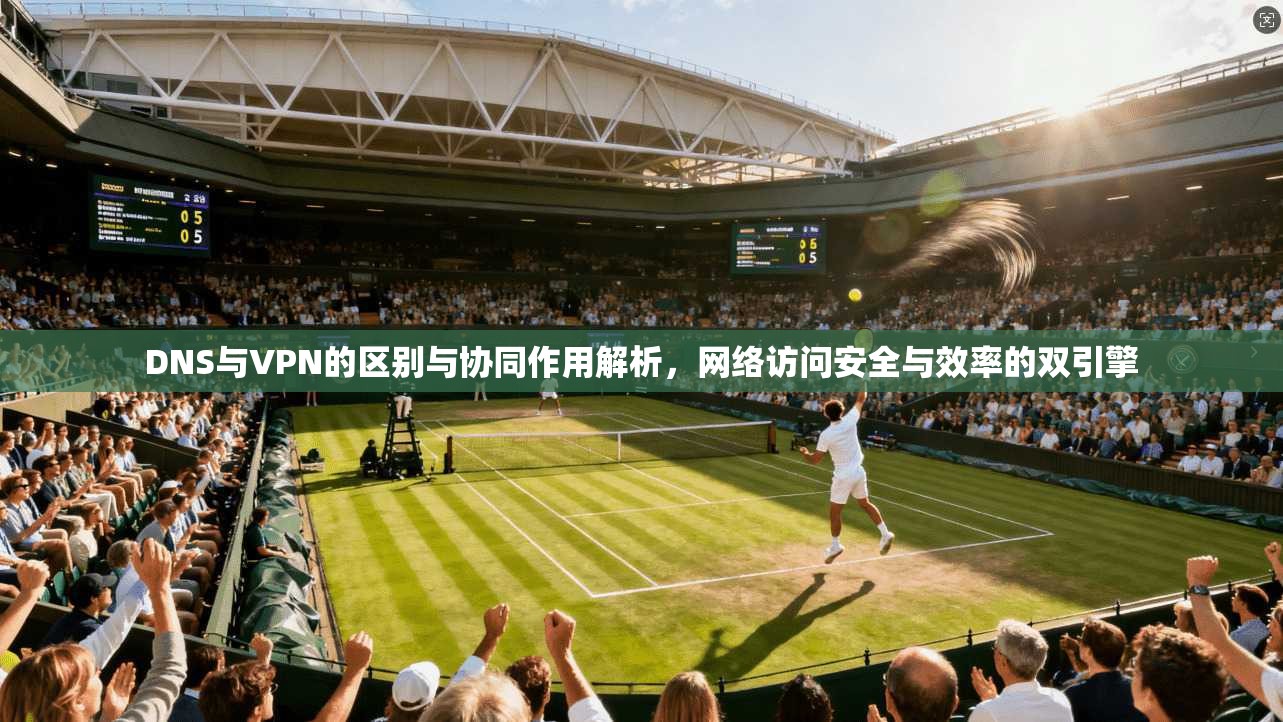 DNS与VPN的区别与协同作用解析,网络访问安全与效率的双引擎