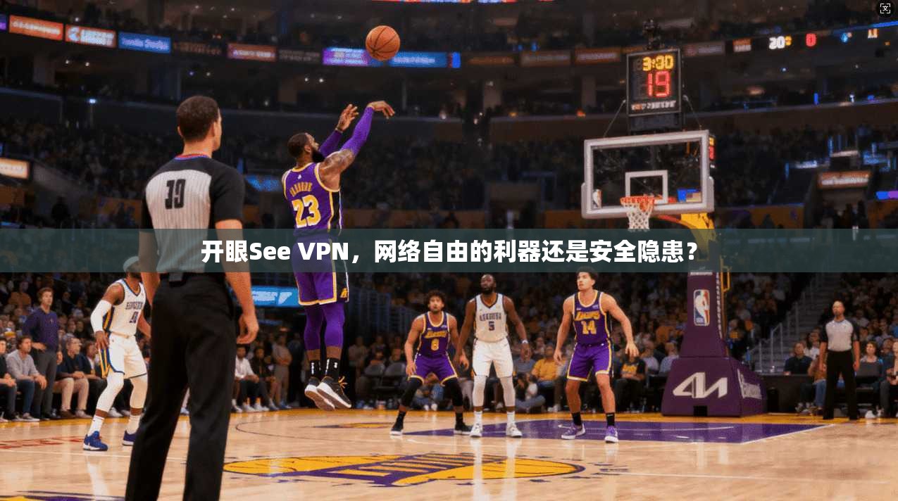 开眼See VPN，网络自由的利器还是安全隐患？