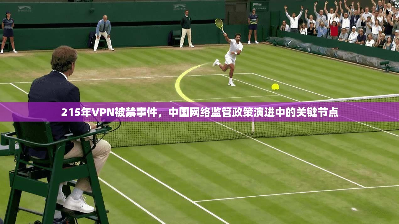 215年VPN被禁事件，中国网络监管政策演进中的关键节点