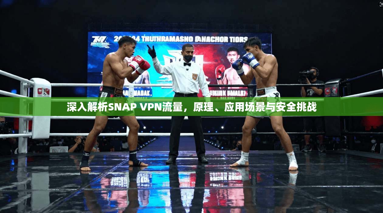 深入解析SNAP VPN流量，原理、应用场景与安全挑战