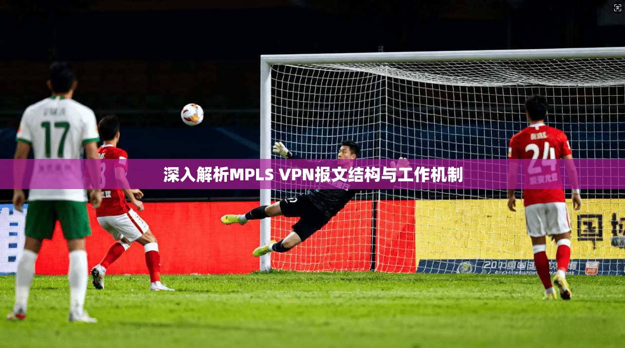 深入解析MPLS VPN报文结构与工作机制