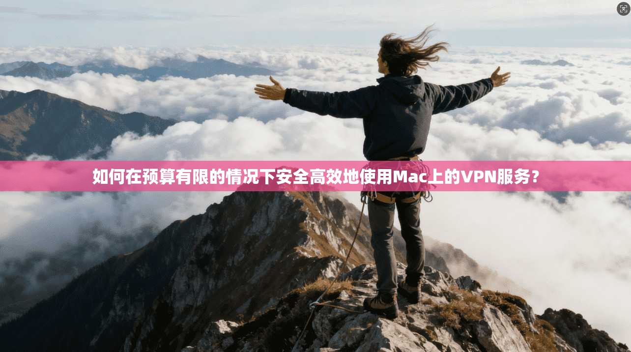 如何在预算有限的情况下安全高效地使用Mac上的VPN服务？