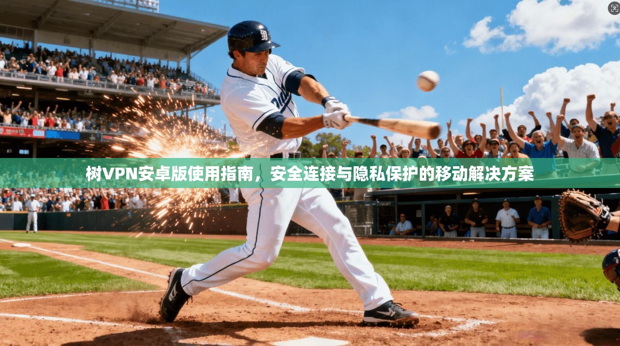 树VPN安卓版使用指南，安全连接与隐私保护的移动解决方案