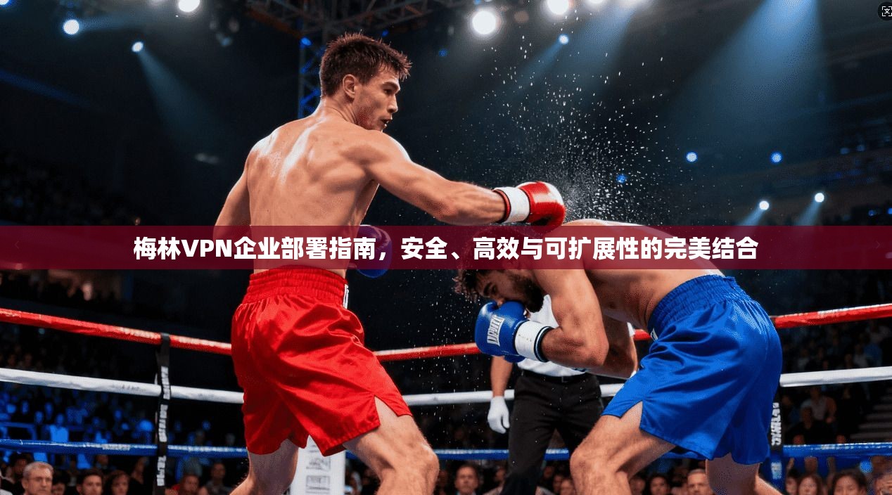 梅林VPN企业部署指南，安全、高效与可扩展性的完美结合