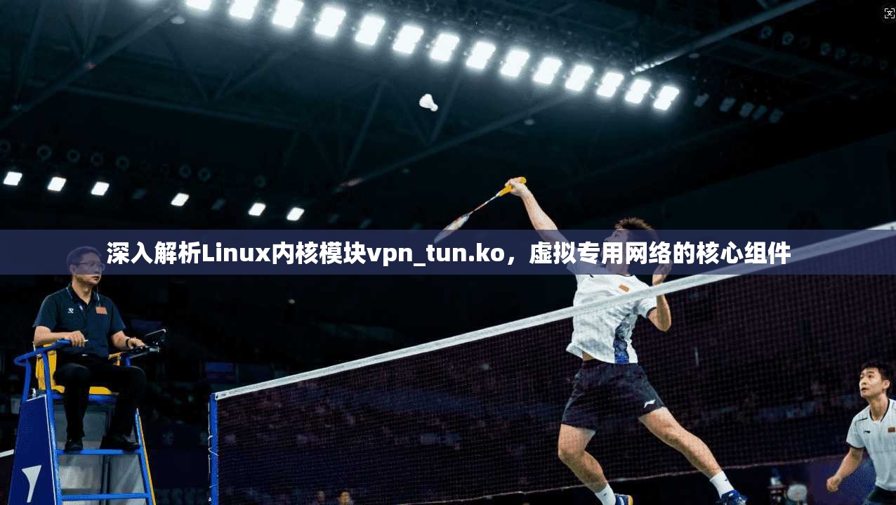 深入解析Linux内核模块vpn_tun.ko，虚拟专用网络的核心组件