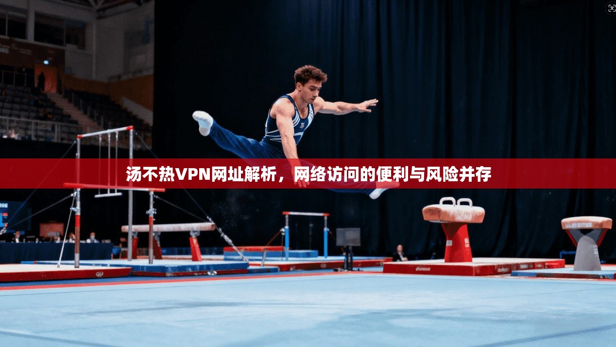 汤不热VPN网址解析，网络访问的便利与风险并存