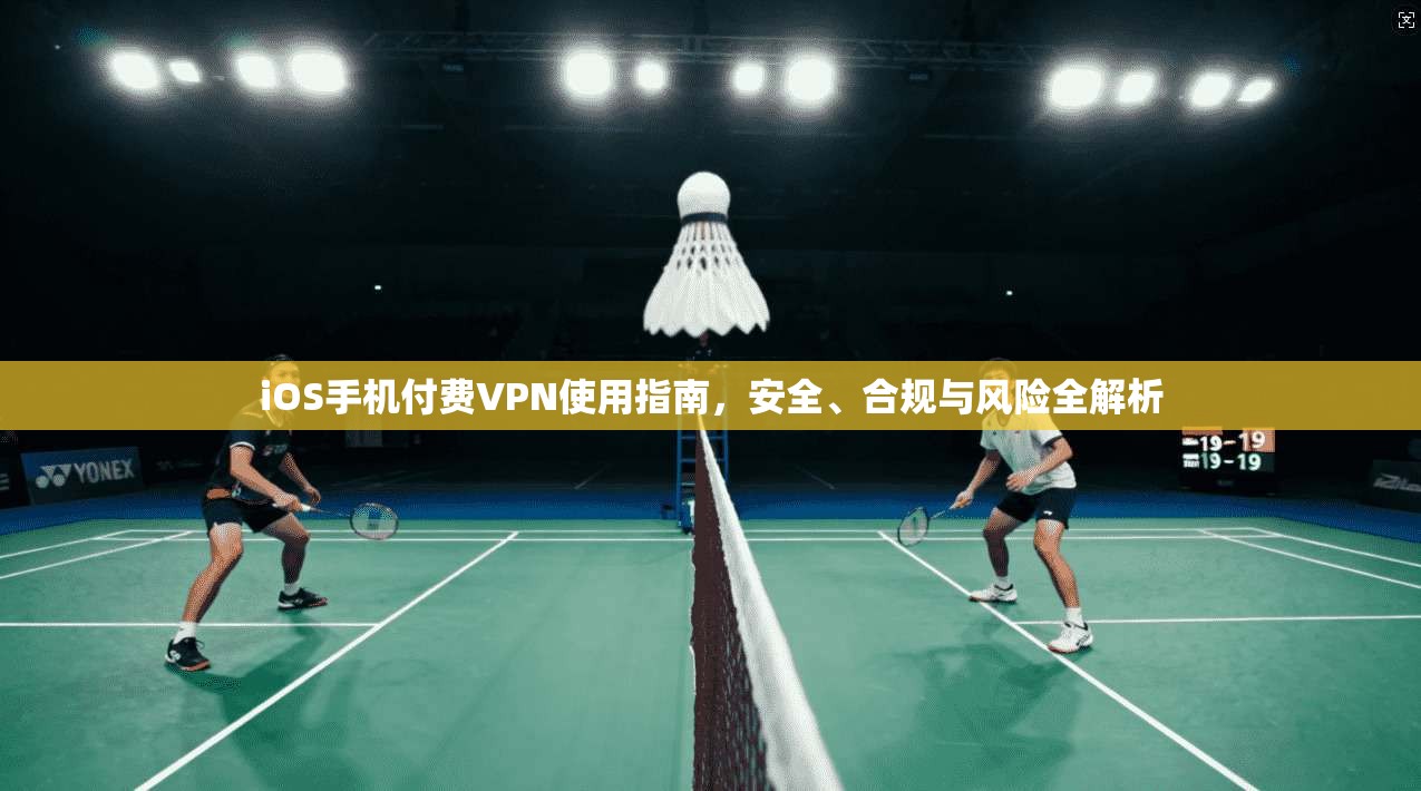 iOS手机付费VPN使用指南,安全、合规与风险全解析