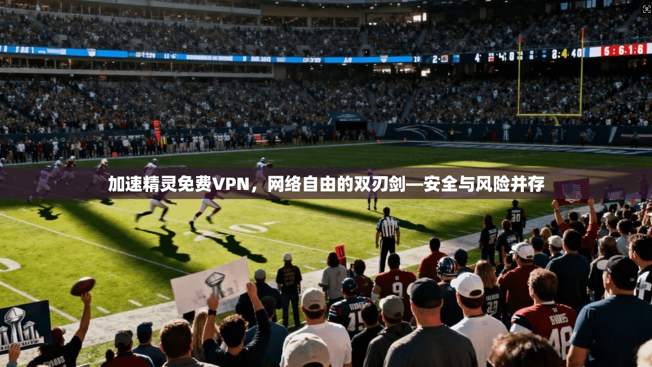 加速精灵免费VPN，网络自由的双刃剑—安全与风险并存
