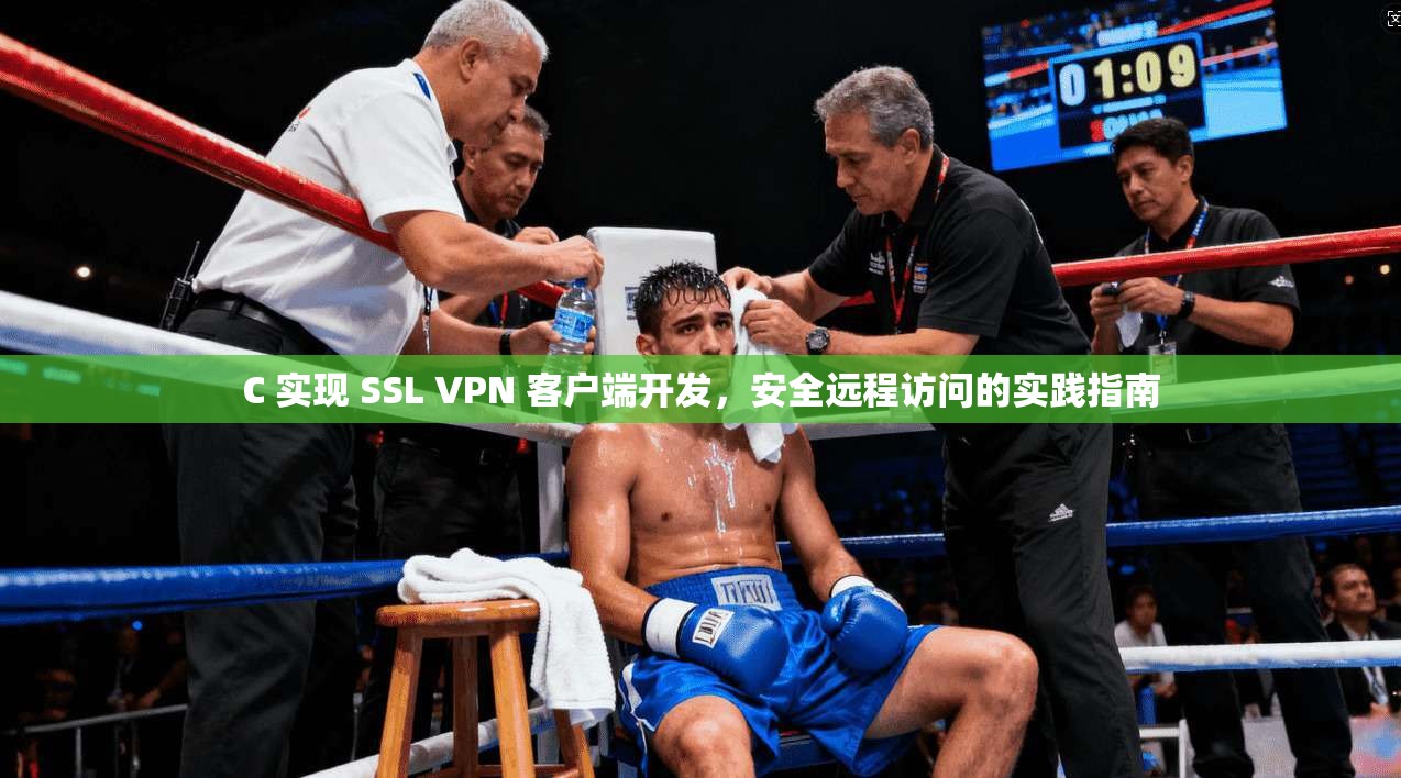 C 实现 SSL VPN 客户端开发，安全远程访问的实践指南