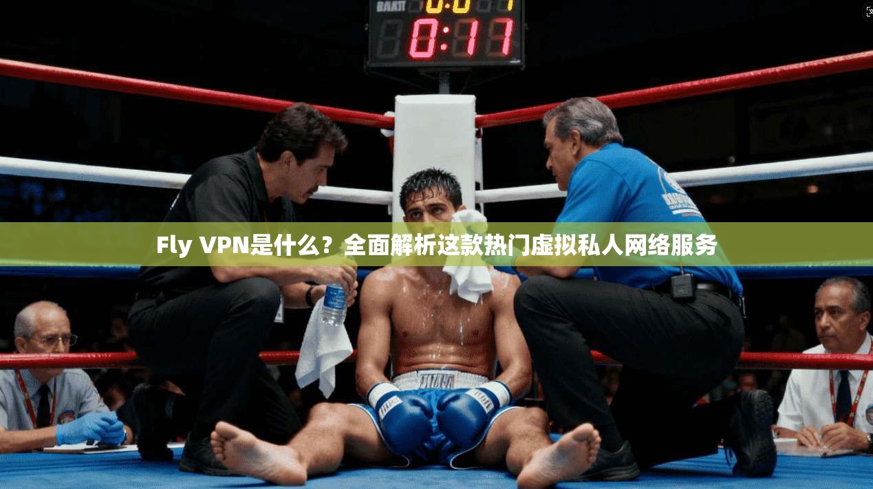 Fly VPN是什么？全面解析这款热门虚拟私人网络服务