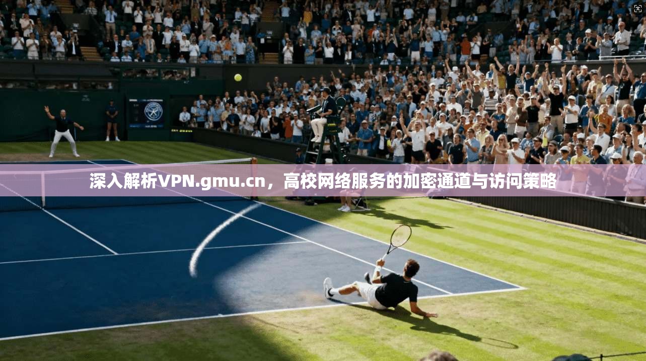 深入解析VPN.gmu.cn，高校网络服务的加密通道与访问策略