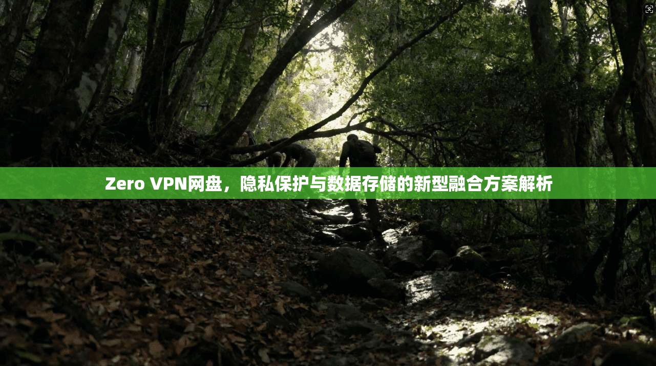 Zero VPN网盘，隐私保护与数据存储的新型融合方案解析