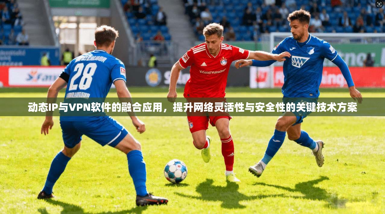 动态IP与VPN软件的融合应用，提升网络灵活性与安全性的关键技术方案