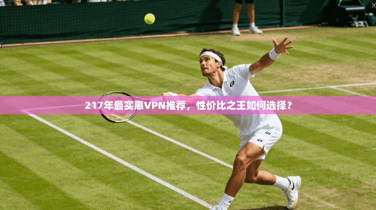 217年最实惠VPN推荐，性价比之王如何选择？