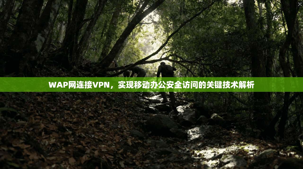 WAP网连接VPN，实现移动办公安全访问的关键技术解析
