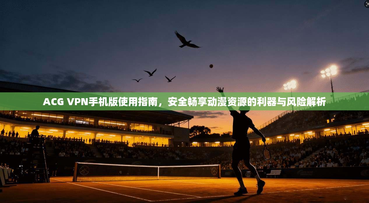 ACG VPN手机版使用指南，安全畅享动漫资源的利器与风险解析