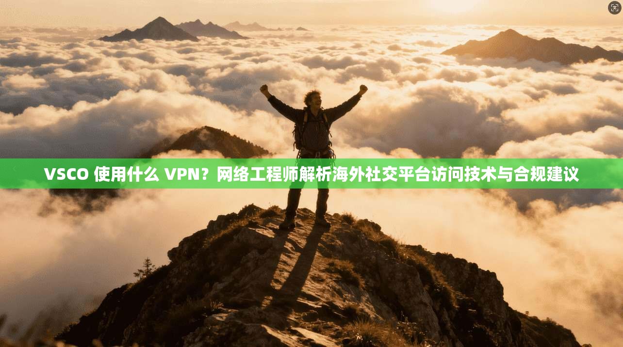 VSCO 使用什么 VPN？网络工程师解析海外社交平台访问技术与合规建议
