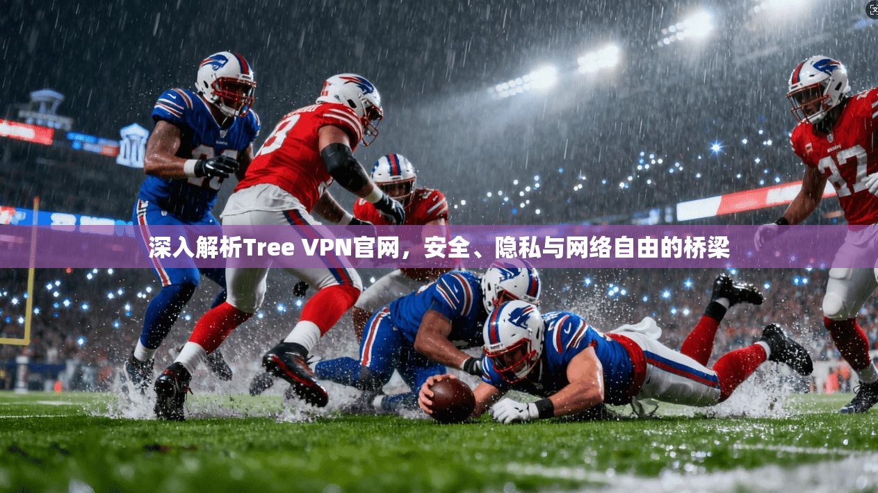 深入解析Tree VPN官网，安全、隐私与网络自由的桥梁