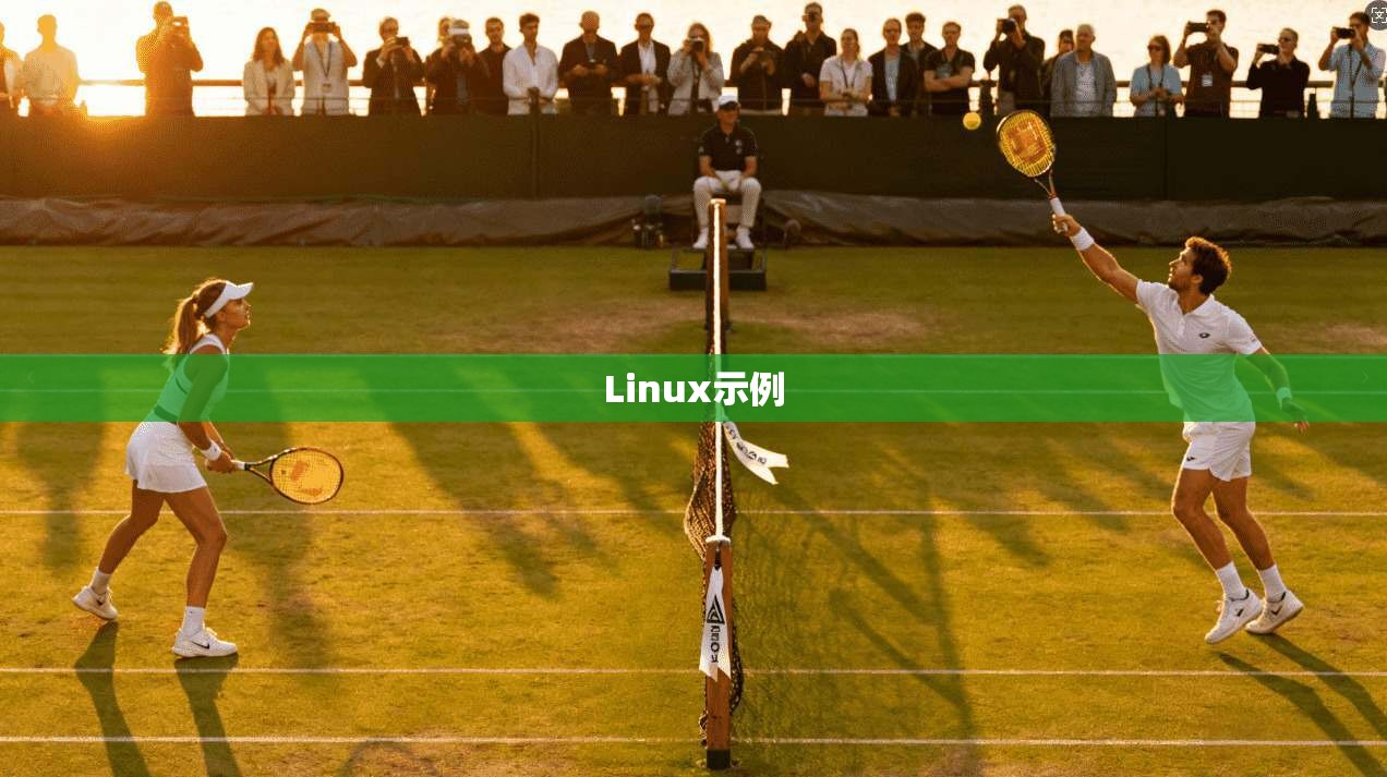 Linux示例
