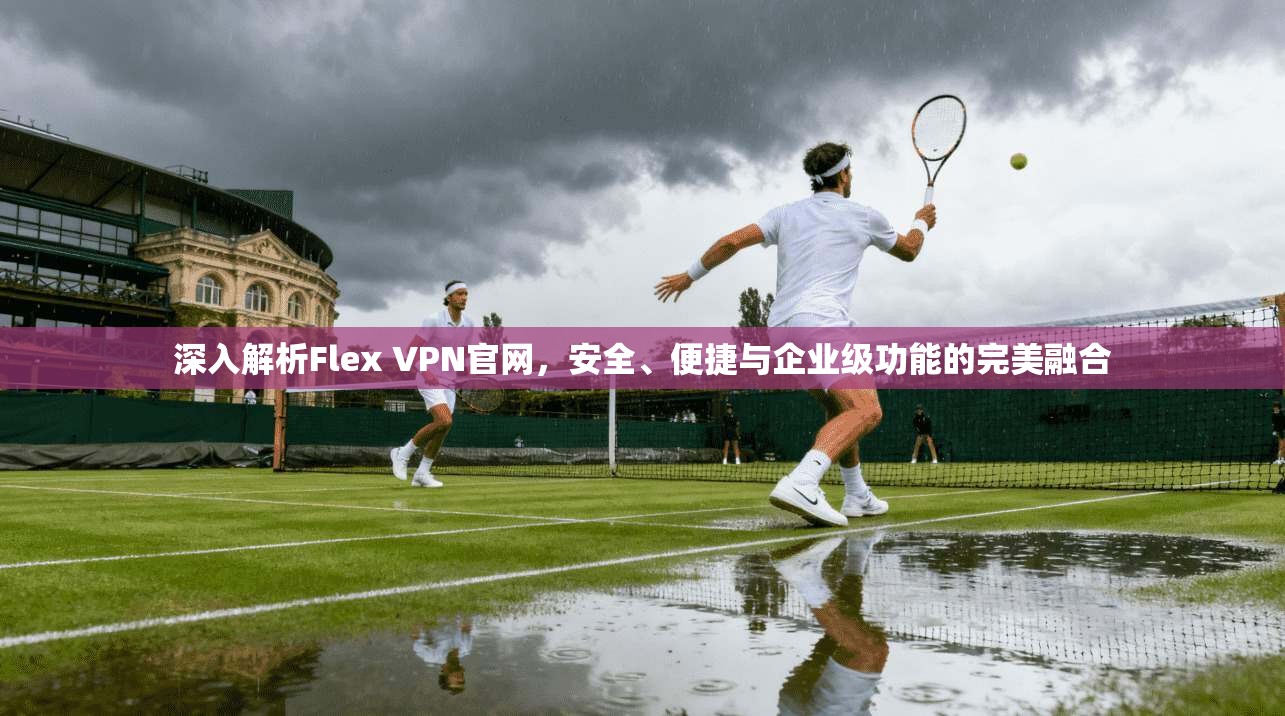 深入解析Flex VPN官网，安全、便捷与企业级功能的完美融合