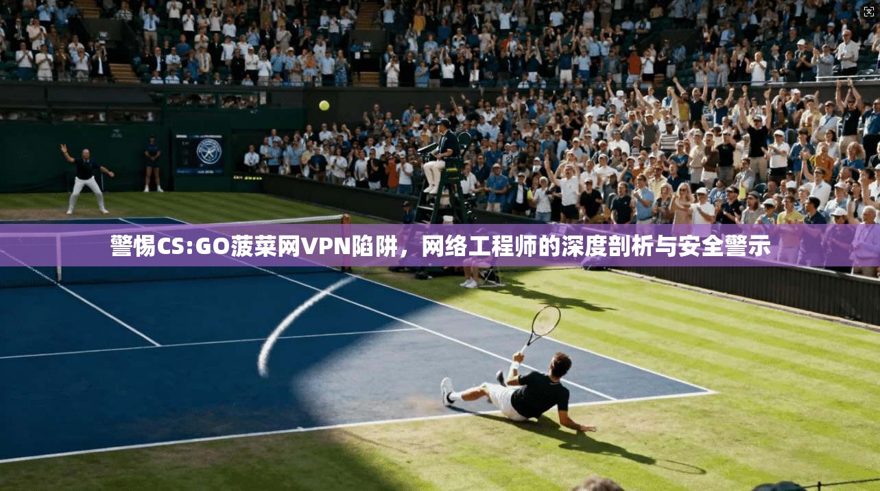警惕CS:GO菠菜网VPN陷阱，网络工程师的深度剖析与安全警示