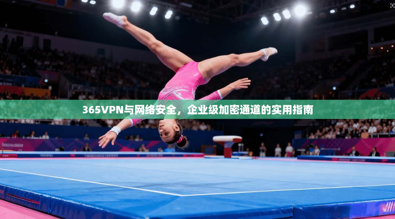 365VPN与网络安全，企业级加密通道的实用指南