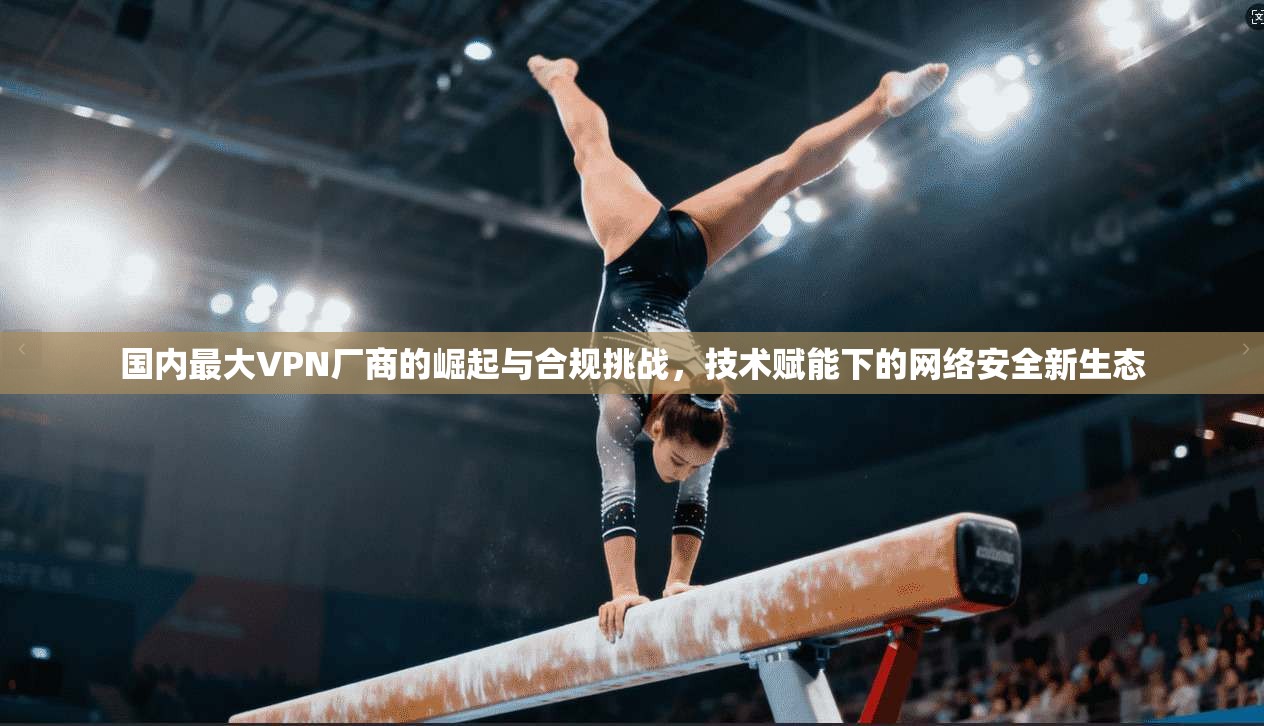 国内最大VPN厂商的崛起与合规挑战，技术赋能下的网络安全新生态