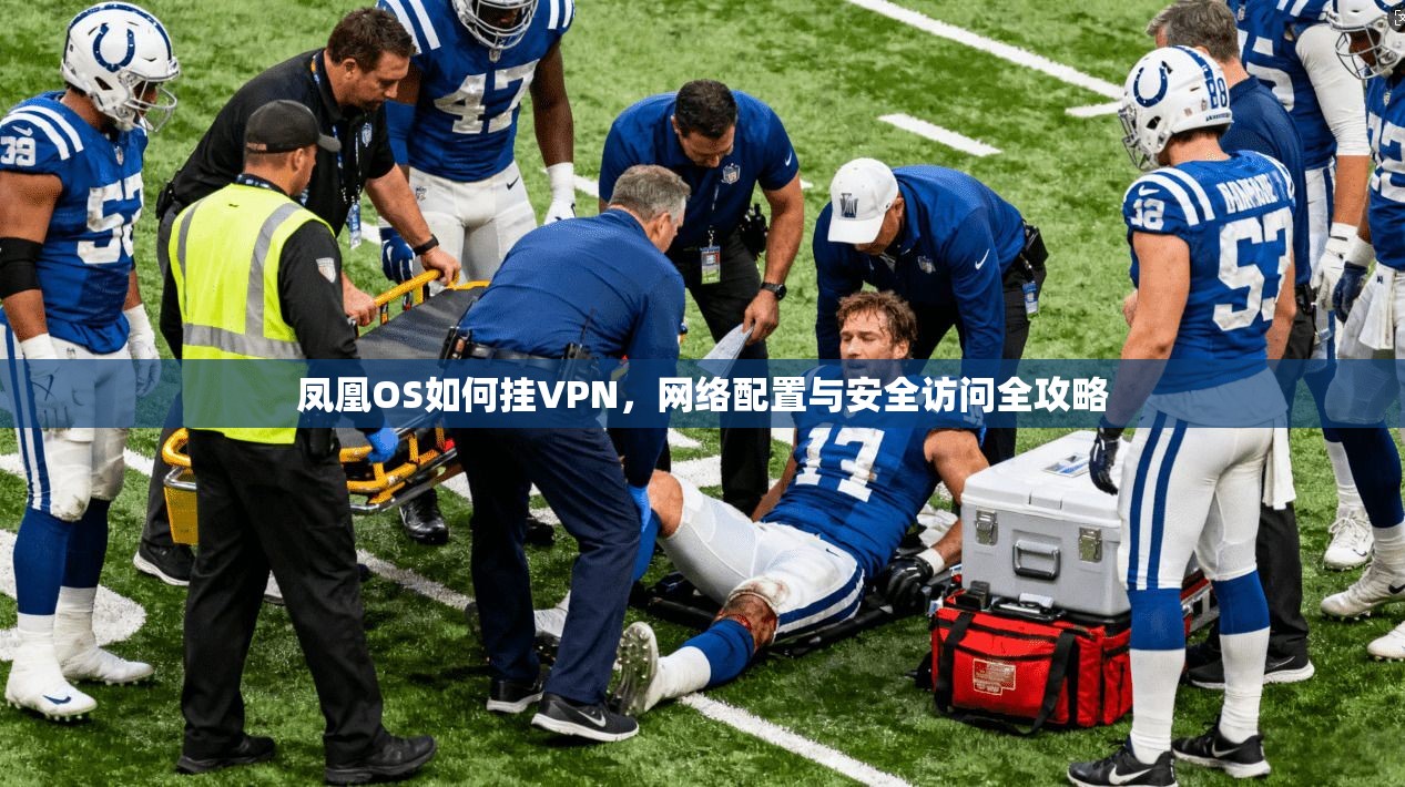 凤凰OS如何挂VPN，网络配置与安全访问全攻略