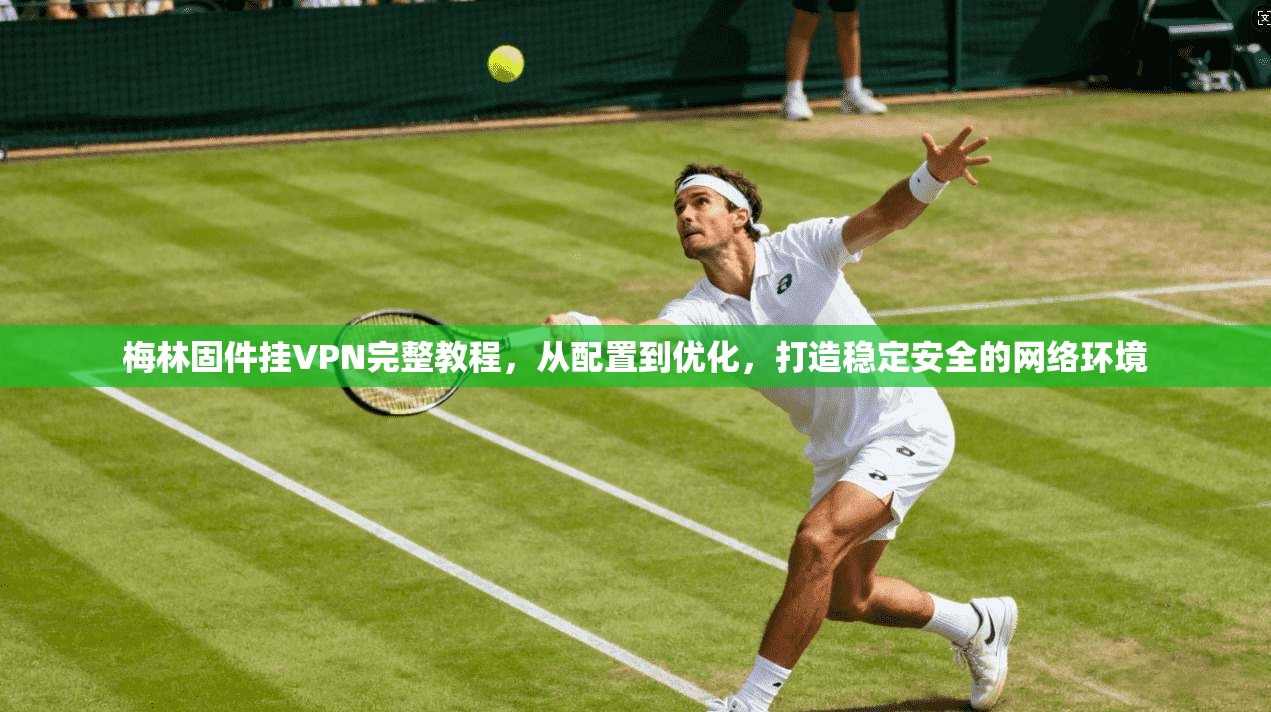 梅林固件挂VPN完整教程，从配置到优化，打造稳定安全的网络环境