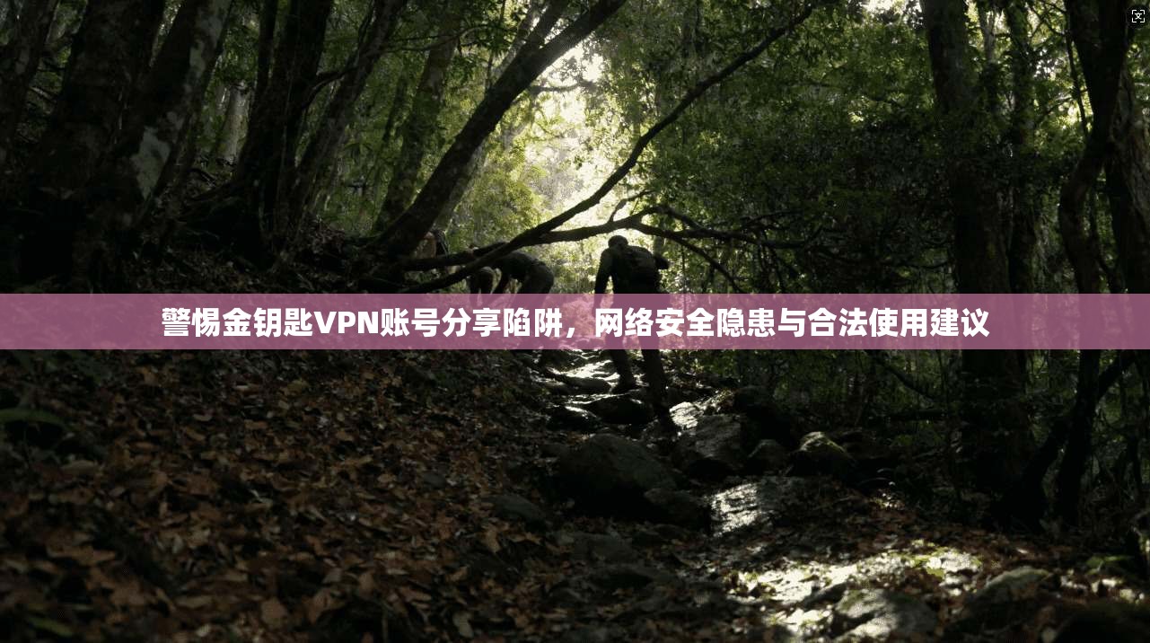 警惕金钥匙VPN账号分享陷阱，网络安全隐患与合法使用建议