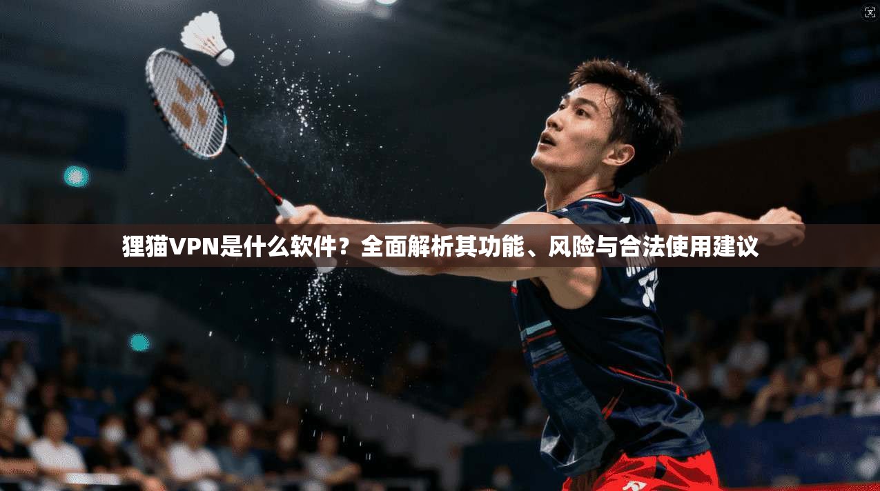 狸猫VPN是什么软件？全面解析其功能、风险与合法使用建议
