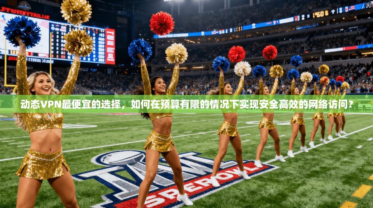 动态VPN最便宜的选择，如何在预算有限的情况下实现安全高效的网络访问？
