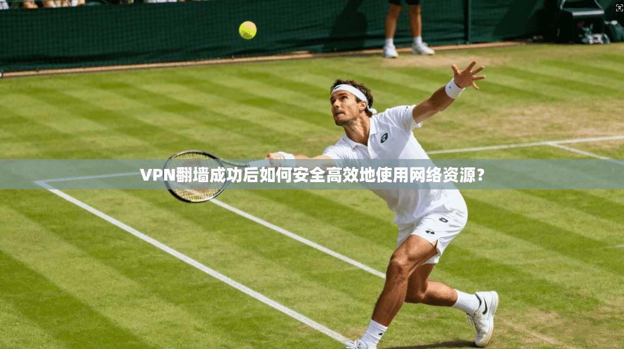 VPN翻墙成功后如何安全高效地使用网络资源？