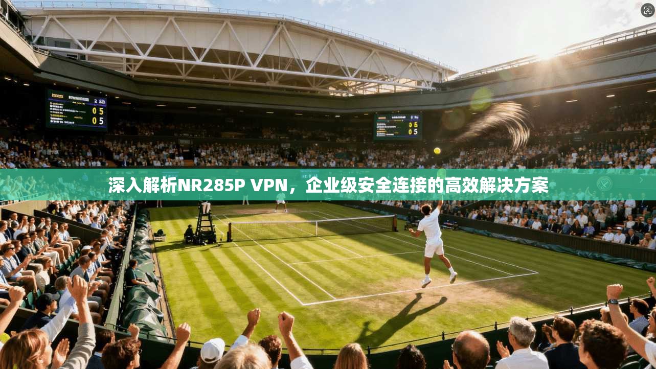 深入解析NR285P VPN，企业级安全连接的高效解决方案