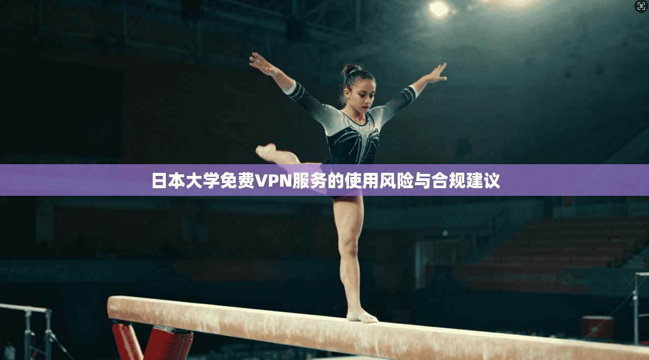 日本大学免费VPN服务的使用风险与合规建议
