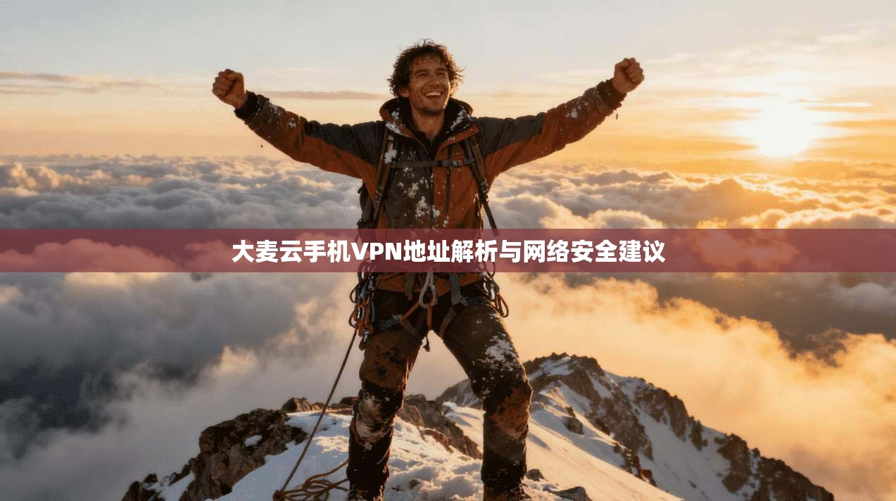 大麦云手机VPN地址解析与网络安全建议