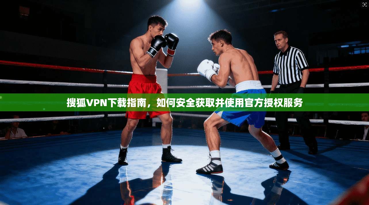 搜狐VPN下载指南，如何安全获取并使用官方授权服务