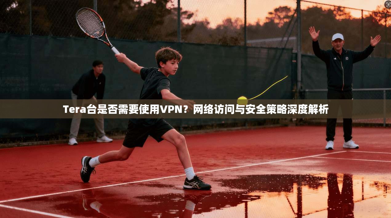 Tera台是否需要使用VPN？网络访问与安全策略深度解析